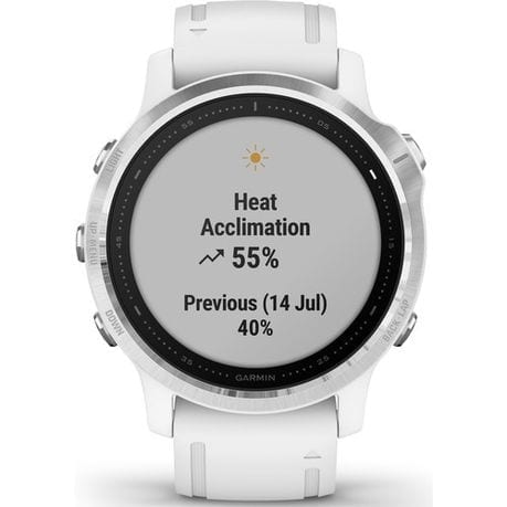 Fenix 6s silver sales with black band
