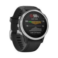 Garmin-Fenix-6s-Black-1